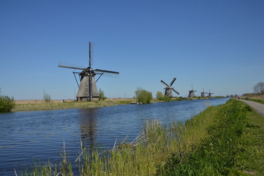 Moulins de Kinderdijk - Pays-Bas