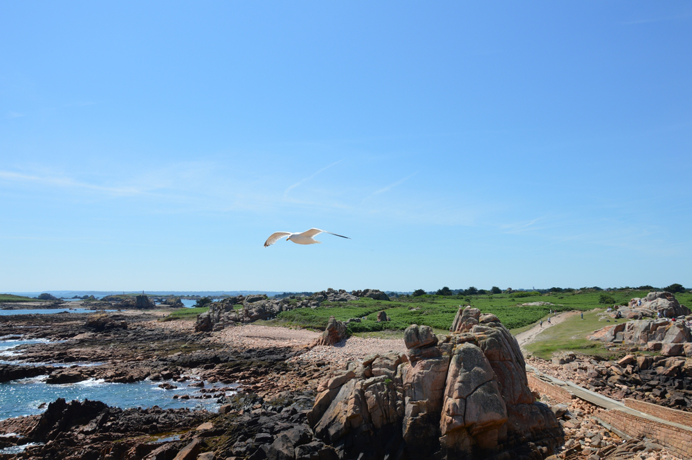 ile-brehat-phare-paon-vue-goeland