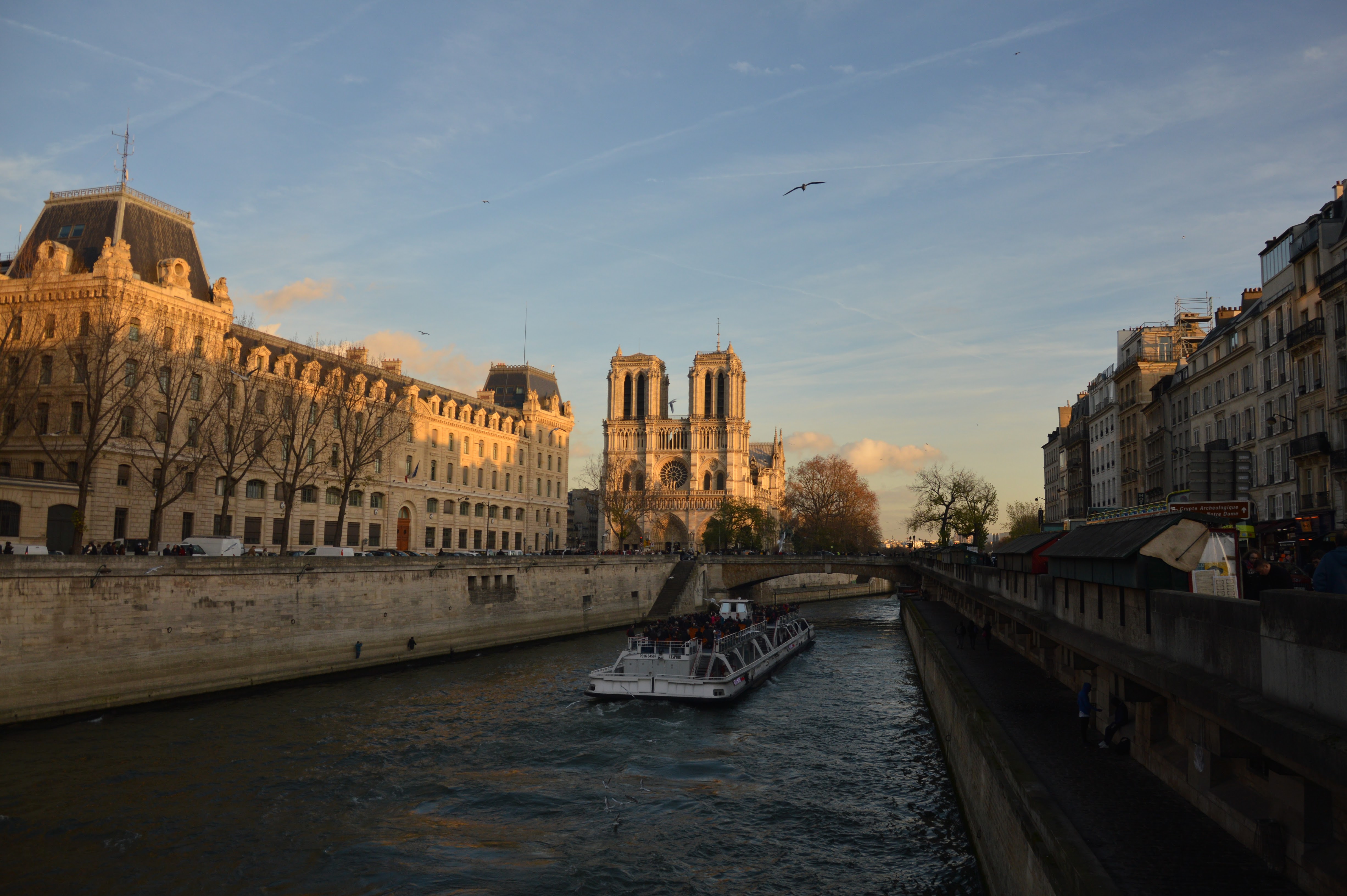 Cathédrale Notre Dame de Paris – Hélène Muckensturm – Voyages ici et ailleurs
