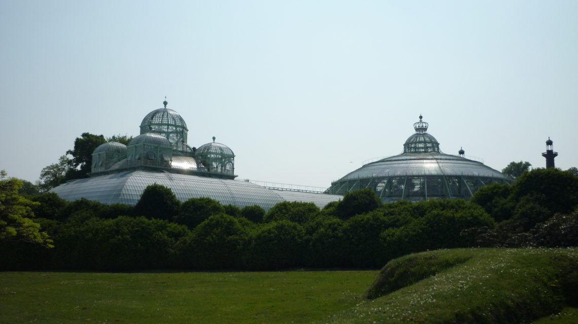 Visite des Serres Royales de Laeken