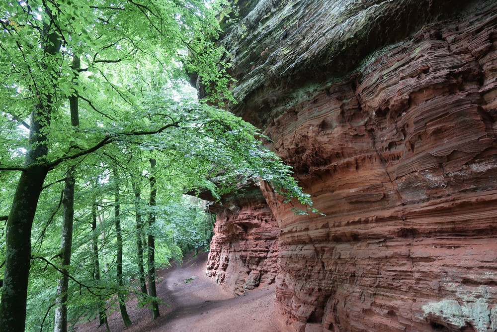 rocher altschlossfelsen - roppeviller - bitche - voyages ici et ailleurs 2