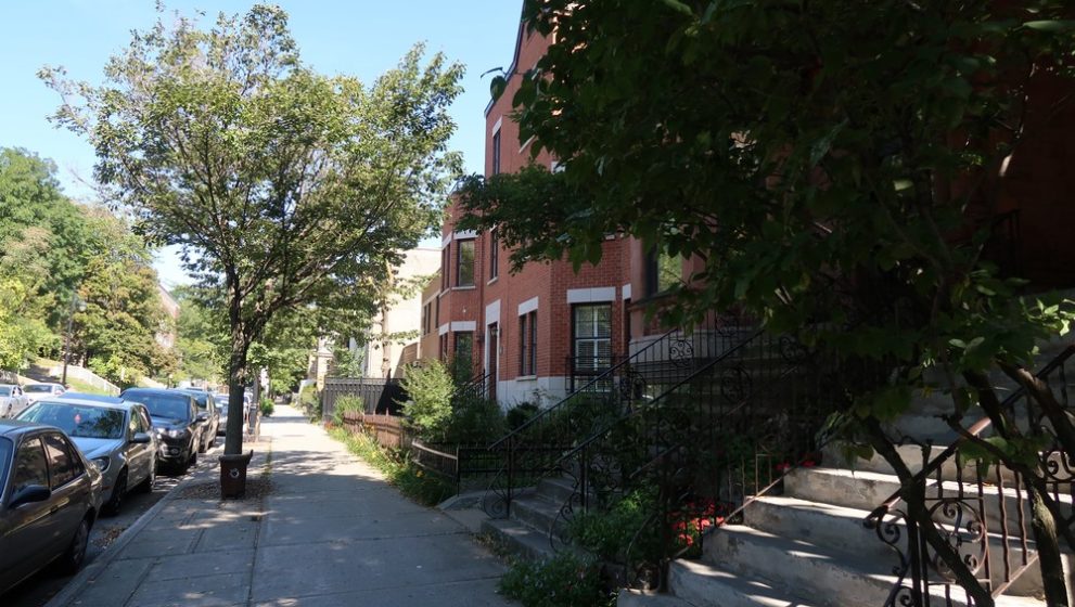 Visiter Montréal en une journée seulement