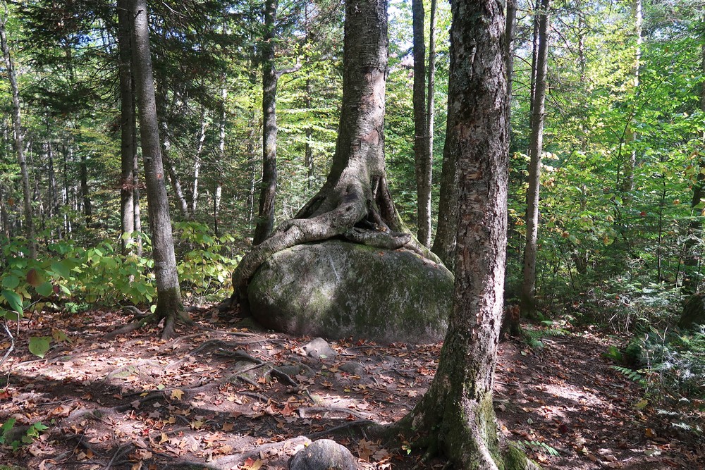 parc mont tremblant randonnée de la roche